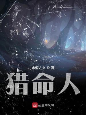 猎命人无错版